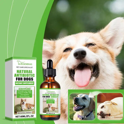 Dog Nutritional Supplement Dog Dietary Support Supplement Skin And Coat Supplement Pet Dietary Grooming Supplement 60ml For K7s5