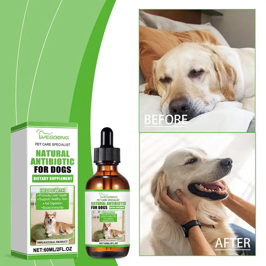 Dog Nutritional Supplement Dog Dietary Support Supplement Skin And Coat Supplement Pet Dietary Grooming Supplement 60ml For K7s5